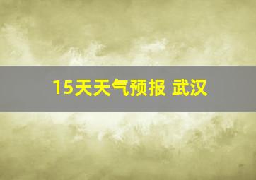 15天天气预报 武汉